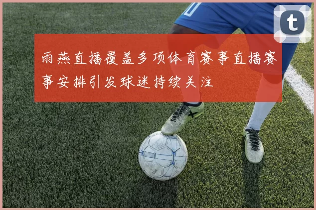 雨燕直播覆盖多项体育赛事直播赛事安排引发球迷持续关注